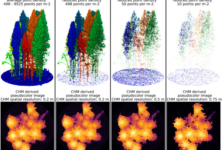 Example UAV-LS point clouds with various point densities and corresponding CHM-based pseudocolour images with variable spatial resolutions used in tested scenarios. The point clouds are coloured according to the manually annotated tree IDs.