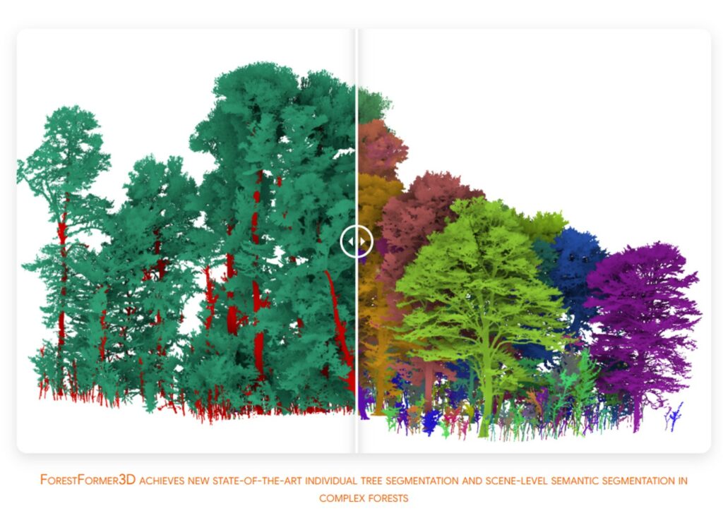 ForestFormer3D: A Unified Framework for End-to-End Segmentation of ...